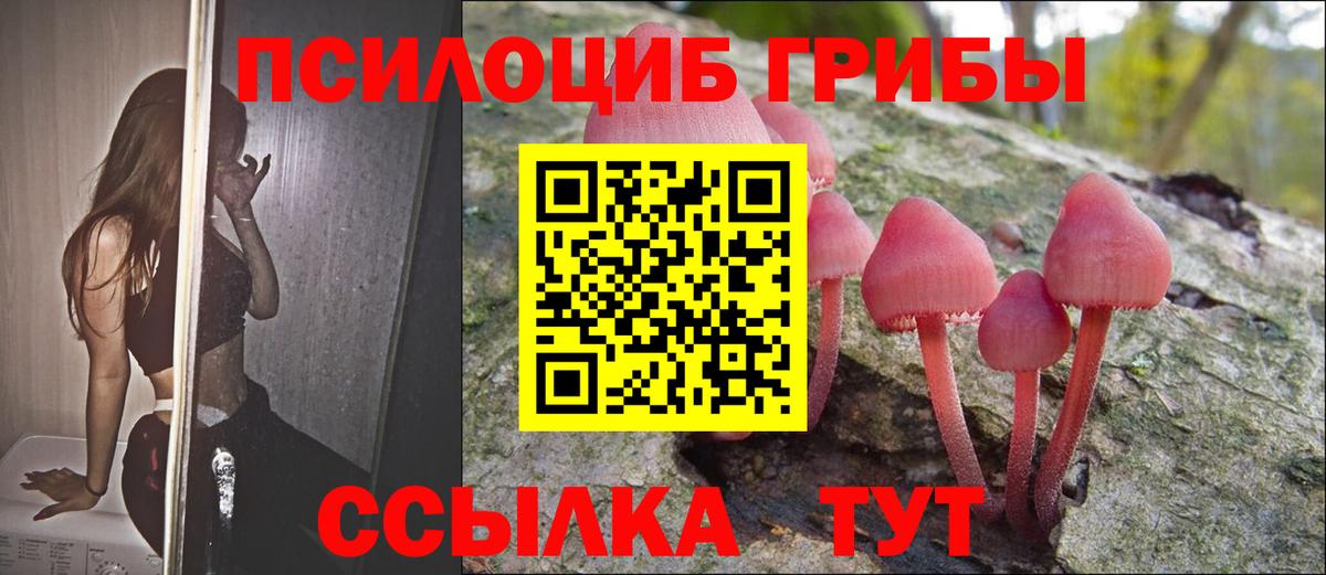 Псилоцибиновые грибы мицелий  Вход с VPN  Керчь  Галлюциногенные грибы прущие грибы 