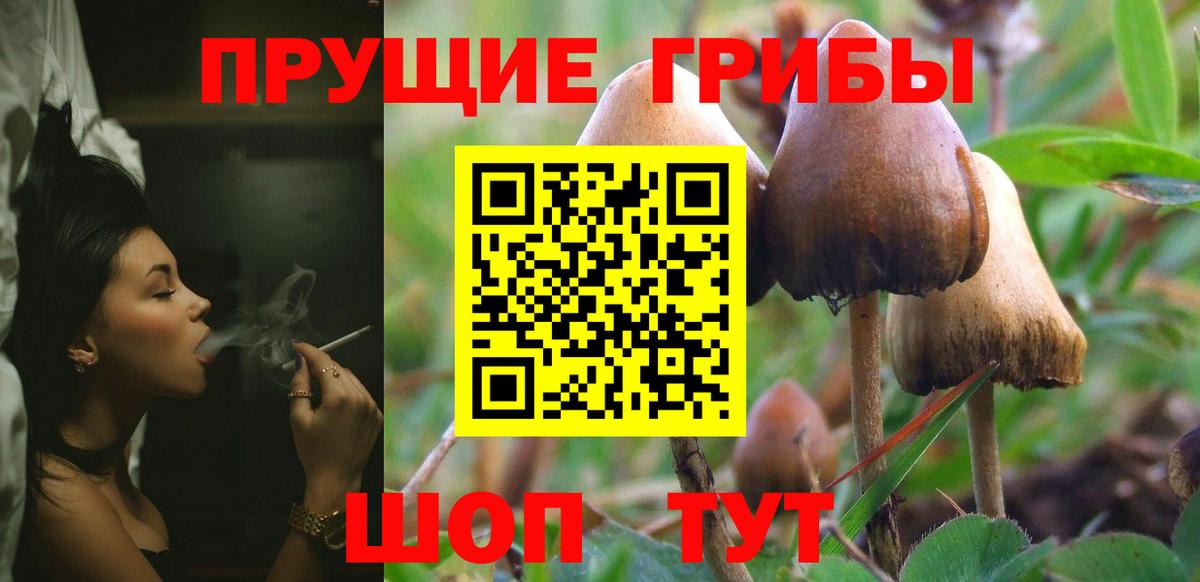 Галлюциногенные грибы Magic Shrooms Керчь