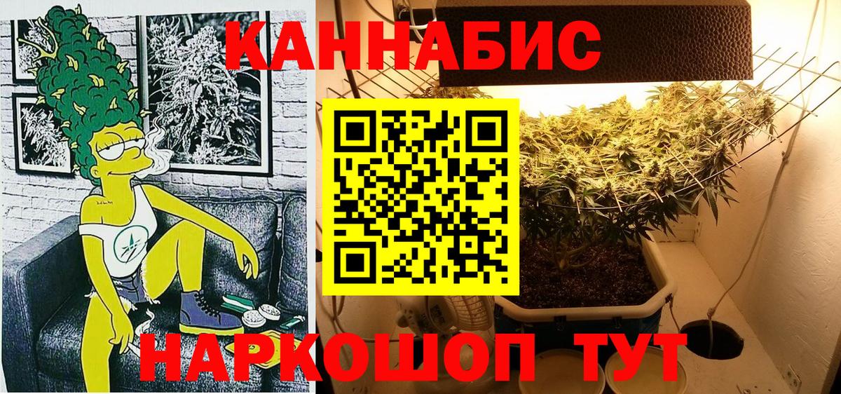 Бошки Шишки план Керчь